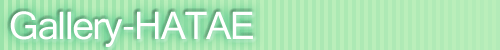 Gallery - HATAE